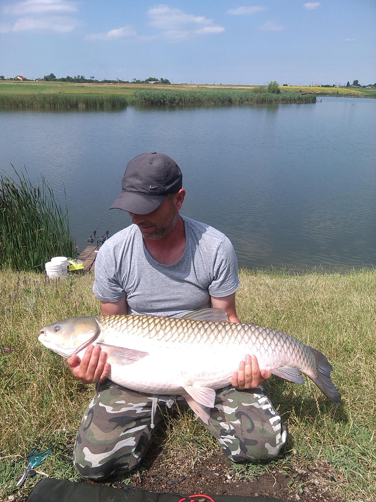 Pescuit- Balta Blejesti Sericu -sezon 2016 - TEN-16,89KG